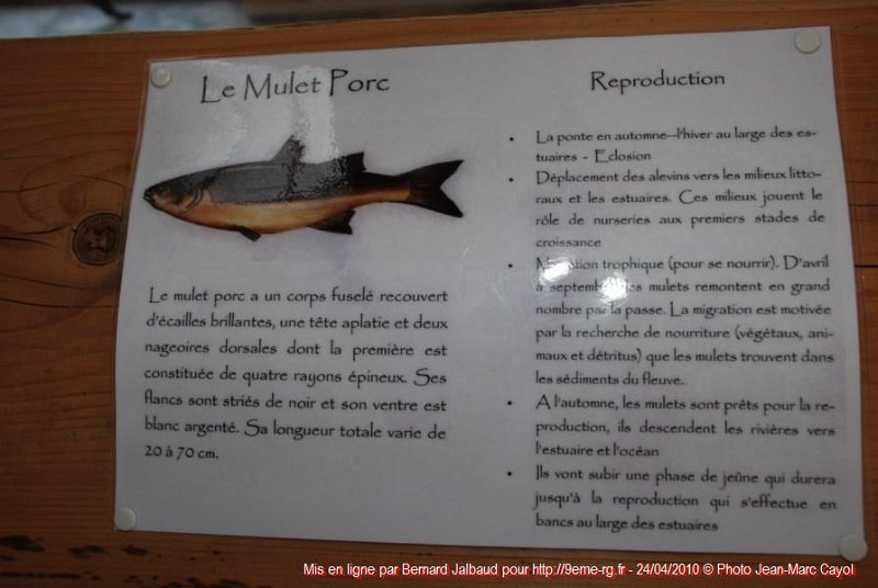 Gens de Garonne (64).JPG